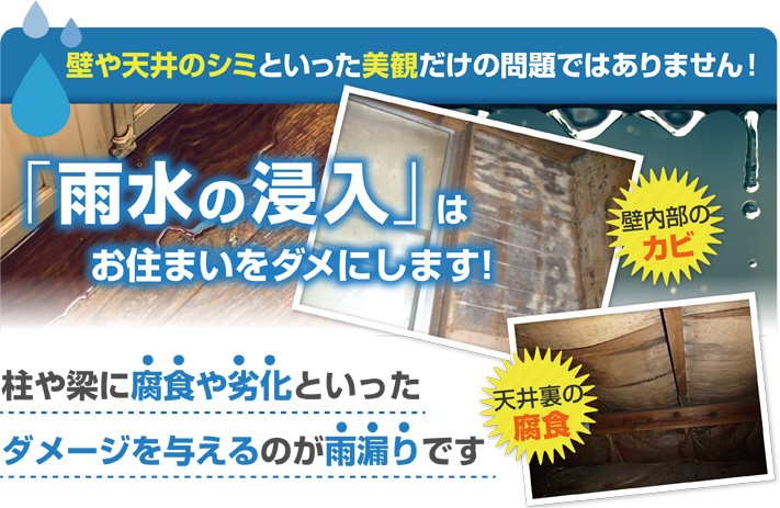 雨水の侵入はお住まいをダメにします!