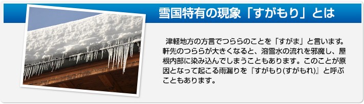 雪国特有の雨漏りを「すがもり(すがもれ)」という