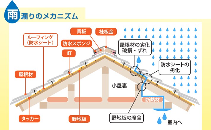 雨漏りのメカニズム
