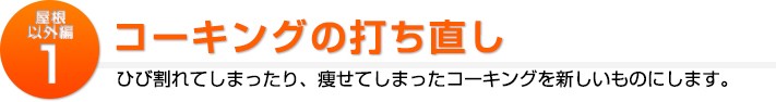 屋根以外の補修1:コーキングの打ち直し