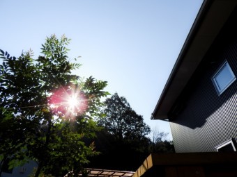 写真AC 庭に差し込む朝日