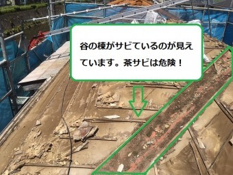屋根 谷 茶さび