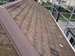 足場 屋根カバー工法