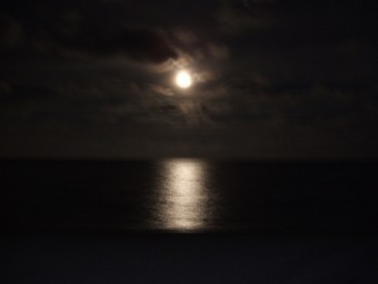 写真AC 月夜