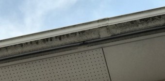 雨樋 洗浄前 有効板