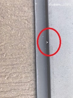 棟板金 釘浮き