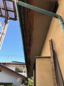 雨樋