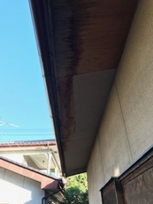 雨樋 補修