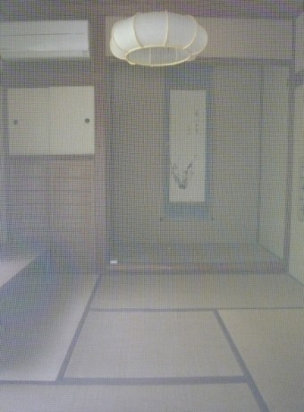 写真AC 網戸越しの和室 網戸