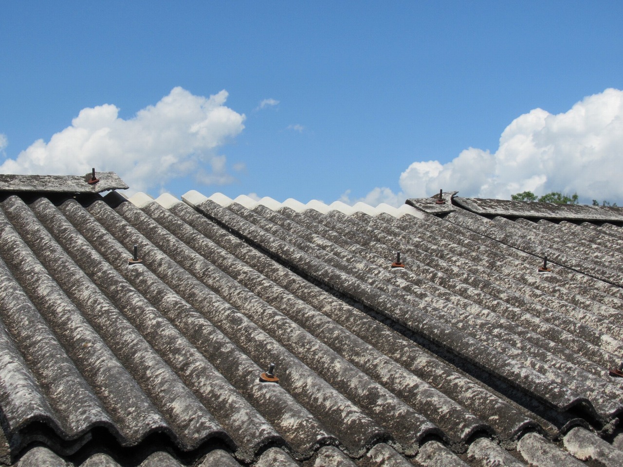 韮崎市で倉庫屋根の点検を行い、スレート波板屋根の飛散を発見しました