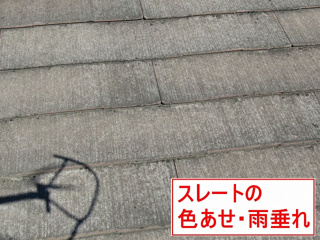 甲府市でスレート屋根の調査を実施し、雨垂れ跡・塗膜劣化によるカビ・藻の繁殖を確認