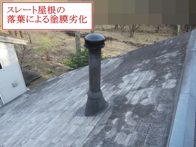北杜市でログハウス別荘の屋根に落ち葉による色あせ・スレートの欠け・板金劣化を確認