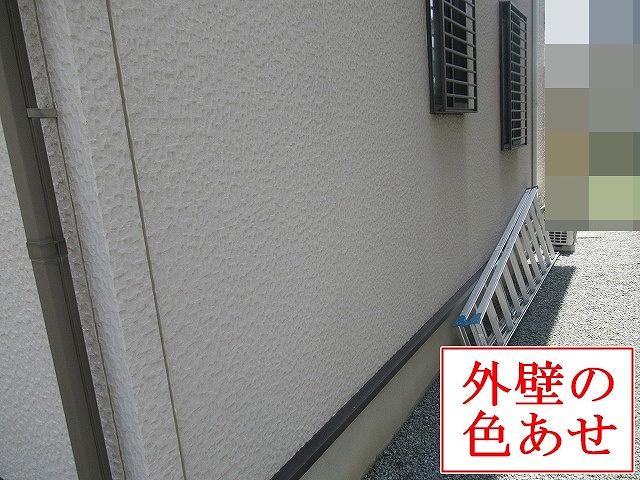 色あせた外壁の全景