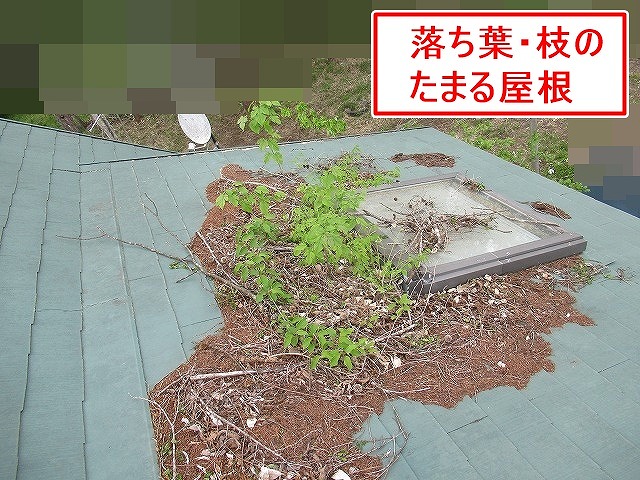 北杜市で屋根の落ち葉清掃作業!金額は1万円~です!屋根のひび割れ箇所も補修します