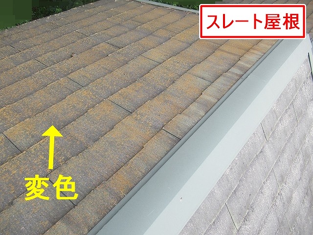 北杜市でスレート屋根調査！破風・波板屋根の痛みやウッドデッキのささくれを確認！