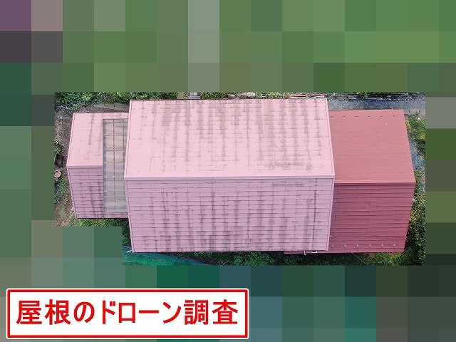 都留市で下屋根から室内に雨漏りのご相談を受け、現地調査を実施！屋根の劣化を解説！