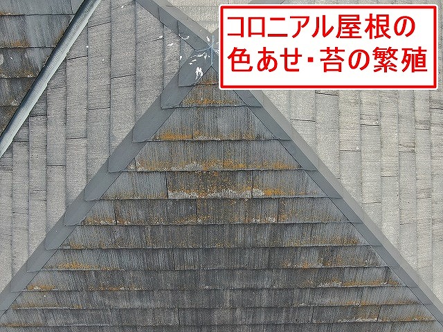 中巨摩郡昭和町でコロニアル屋根の現地調査！色あせ・苔による変色・板金の汚れを確認