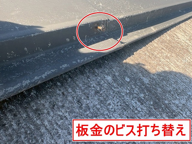甲府市で棟板金のステンレス製ビス（釘）を打ち替える様子