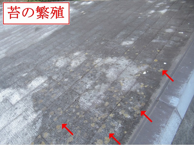 北杜市でスレート屋根（コロニアル）に苔が繁殖している様子