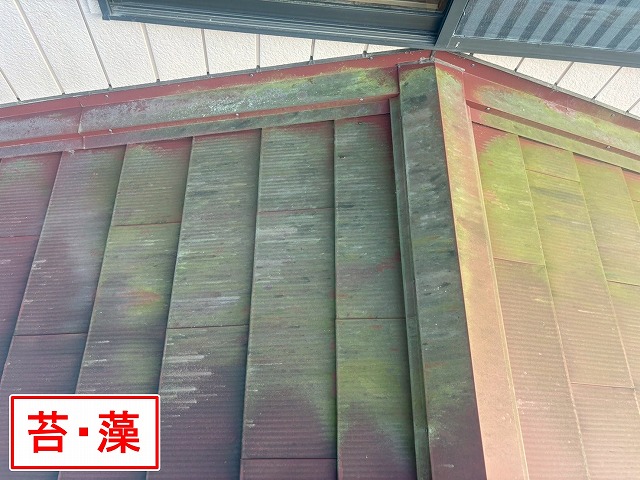 都留市でスレート屋根に苔・藻が発生している様子