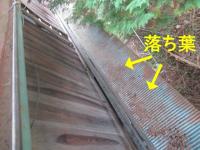 山梨市で波板トタン屋根に落ち葉や枝が溜まっている様子