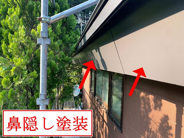 鼻隠し塗装の様子