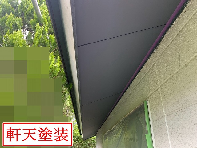 塗装後の軒天全景