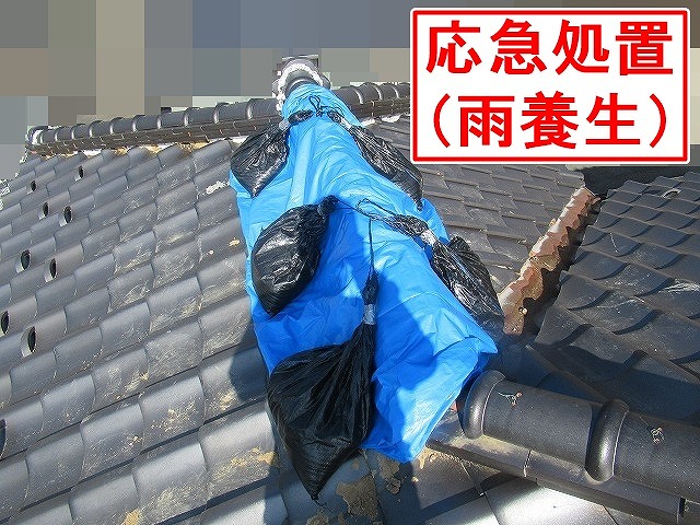 甲府市で崩れた瓦屋根に応急処置（雨養生）を行う様子