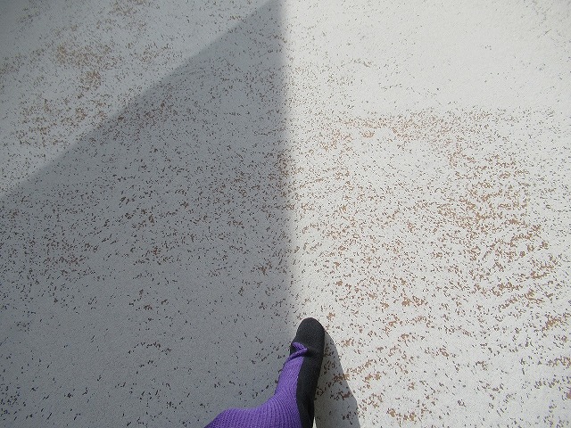 西八代郡市川三郷町でベランダ（バルコニー）防水が黒ずみ・剥げている様子