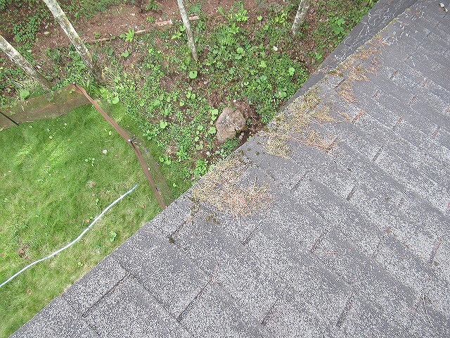 南都留郡鳴沢村で枝や葉のたまるアスファルトシングル屋根の調査