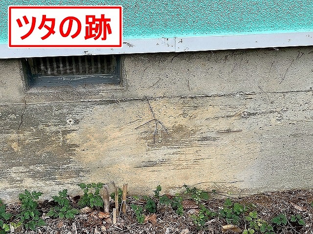 南都留郡鳴沢村で住宅の基礎にツタ跡が残っている様子