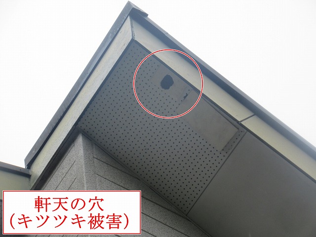 軒天の穴あき被害