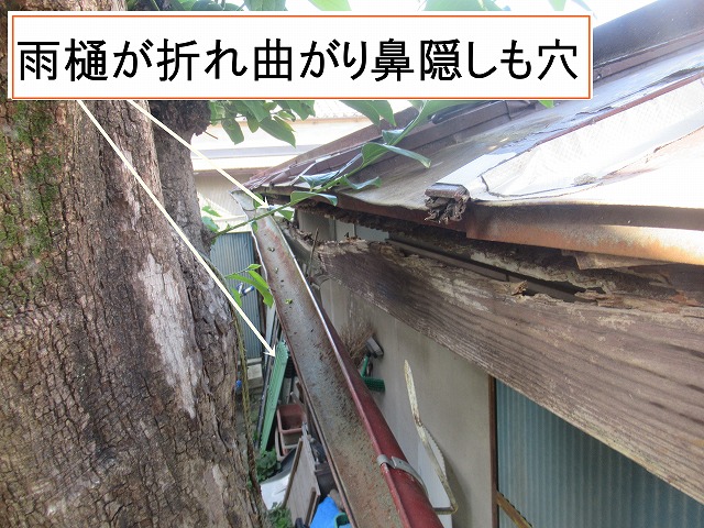 富士川町で雨樋が崩れ落ち防水アルミテープで雨漏り補修している瓦棒トタン屋根を調査