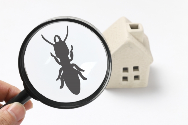 写真AC　虫眼鏡とシロアリとミニチュアの家　害虫　防蟻処理